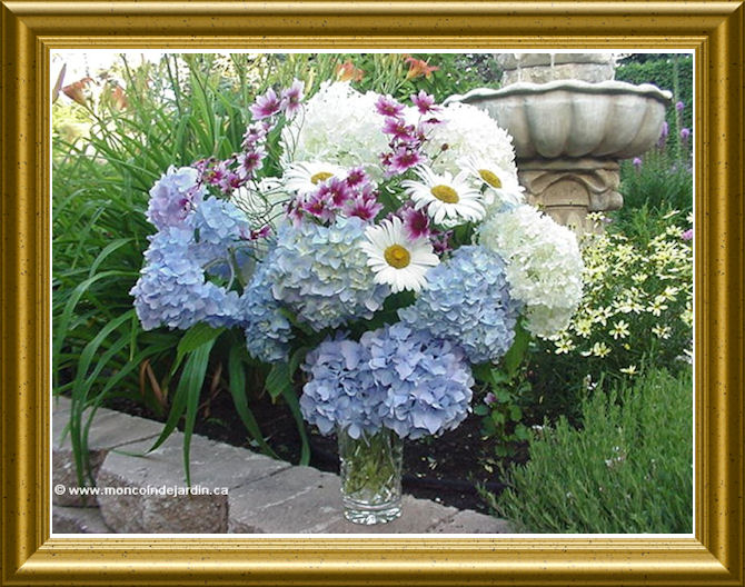 Bouquet de mon jardin