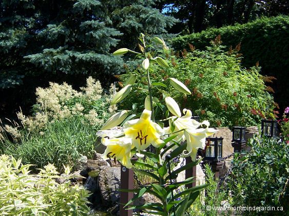  Mon Coin de Jardin