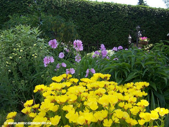  Mon Coin de Jardin