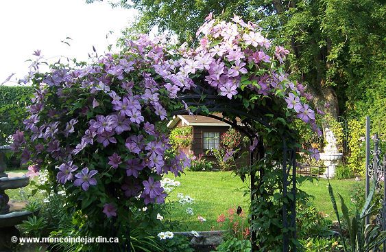  Mon Coin de Jardin