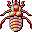 insecte