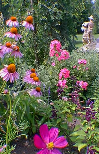 rudbeckies et phlox